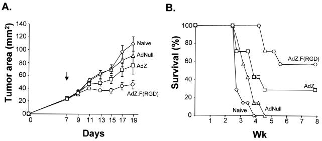 FIG. 7.