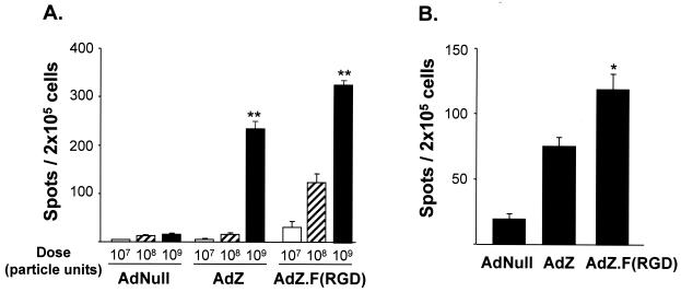 FIG. 5.