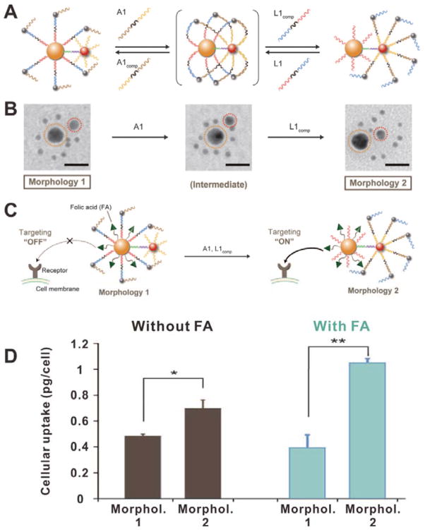 Figure 19