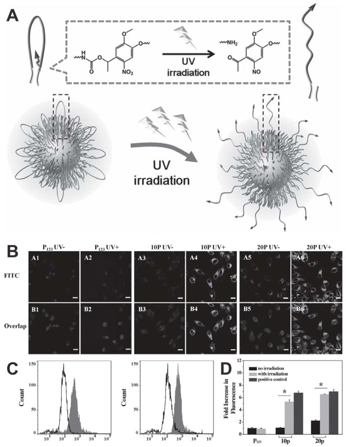 Figure 21