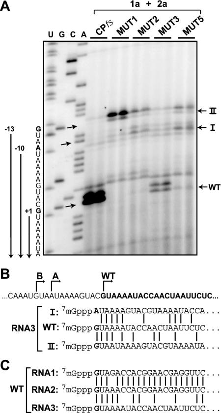 FIG. 9.