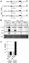 FIG. 7.