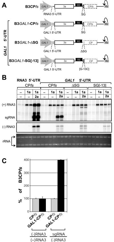 FIG. 7.