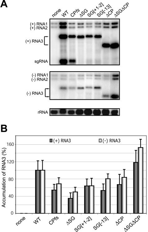 FIG. 10.