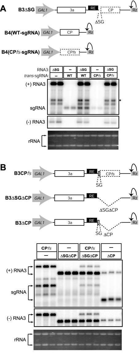 FIG. 4.