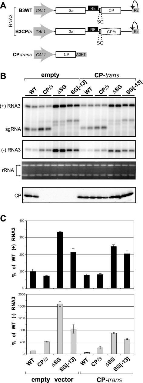 FIG. 3.