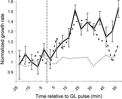 Figure 7.