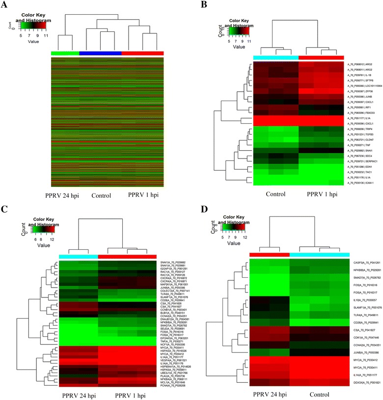 Figure 3