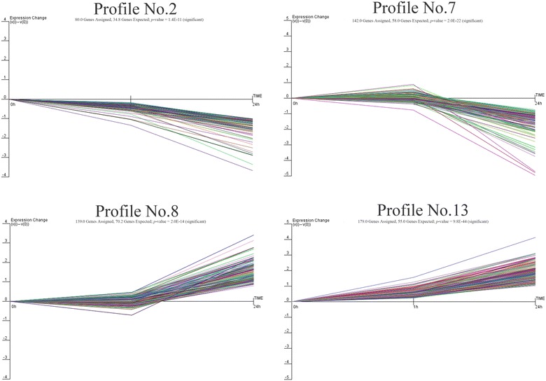 Figure 5