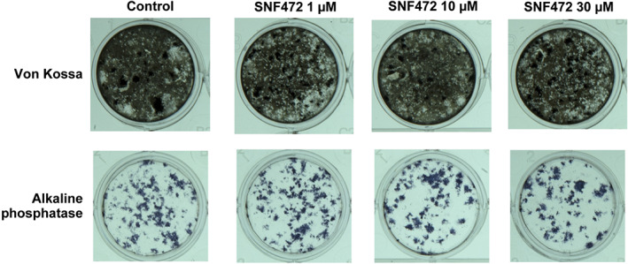 FIGURE 11