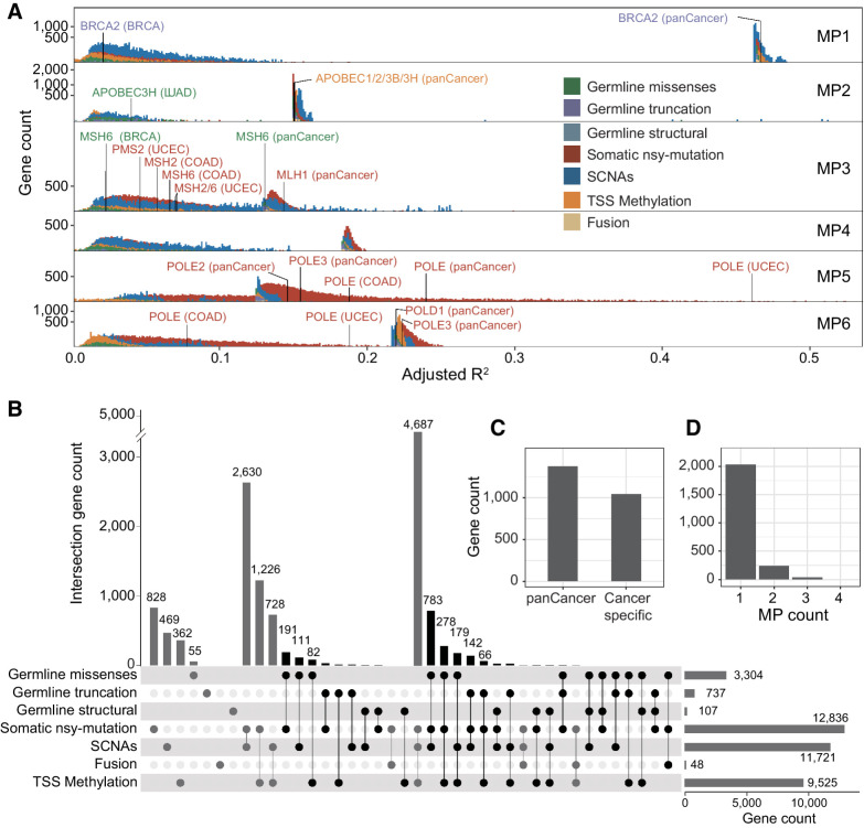 Figure 3. Genes' genetic statuses influence the mutational propensities. A, The fraction of variance (adjusted R2) of 6 MPs explained by different statuses of genes (FDR < 0.1), including three types of germline variations (missense, truncated, structural), four types of somatic alterations (somatic nsy-mutation, SCNA, fusion), and epigenetic stats (TSS-methylation). The benchmark genes with different colors are the known cancer driver genes, of which, germline or somatic mutations are associated with the certain MSs. B, The Upset plot shows the overlaps among the gene sets, each of which is significantly associated with the MPs by a distinct genetic status. The black bar shows the total 2,314 unique genes, which are considered as candidate genes, of which, germline genetic burden and somatic or epigenetic status are simultaneously significantly associated with the same MP (FDR < 0.1). C, The number of significant genes, of which, genetic statuses impact the MPs at pan-cancer level or cancer-specific level. D, The number of significant genes, of which, genetic statuses associate with one or multiple MPs.