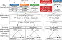 Figure 1. The schematic view of this study. In this study, we introduced the quantitative trait of MP, which is tethered to the relative activity between a given signature and a reference signature. Then, we described a regression model integrating evidences from both germline and somatic levels to identify the genetic determinants of somatic selection of mutational processes and also performed mpQTL analysis for MP-associated loci. In addition, we inferred the causal biological mechanisms for the candidate determinants of the mutational processes via cancer gene expression and TIME.