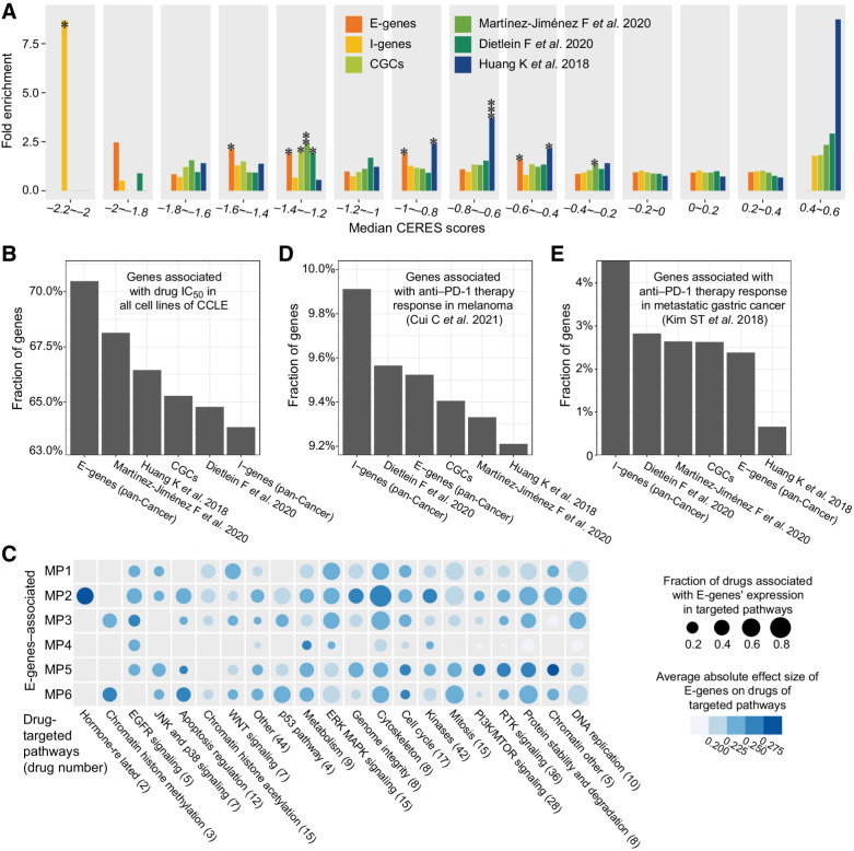 Figure 5. The carcinogenesis and cancer therapy of E-genes and I-genes. A, The genetic determinants of the MPs enrich for genes to which cancer cells manifest strong genetic dependency. B, Comparison fractions of genes significantly associated with drug IC50 in cancer cell lines among different gene sets. C, The E-genes of different MPs are predictive of drug IC50 targeting at different pathways. The dot size represents the fraction of drugs in each category, which are predicted. Different colors represent the average absolute effect sizes. D, The fractions of genes significantly associated with anti–PD-1 therapy response in melanoma among different gene sets. E, The fractions of genes significantly associated with anti–PD-1 therapy response in metastatic gastric cancer among different gene sets.