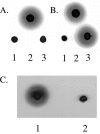 FIG. 1.