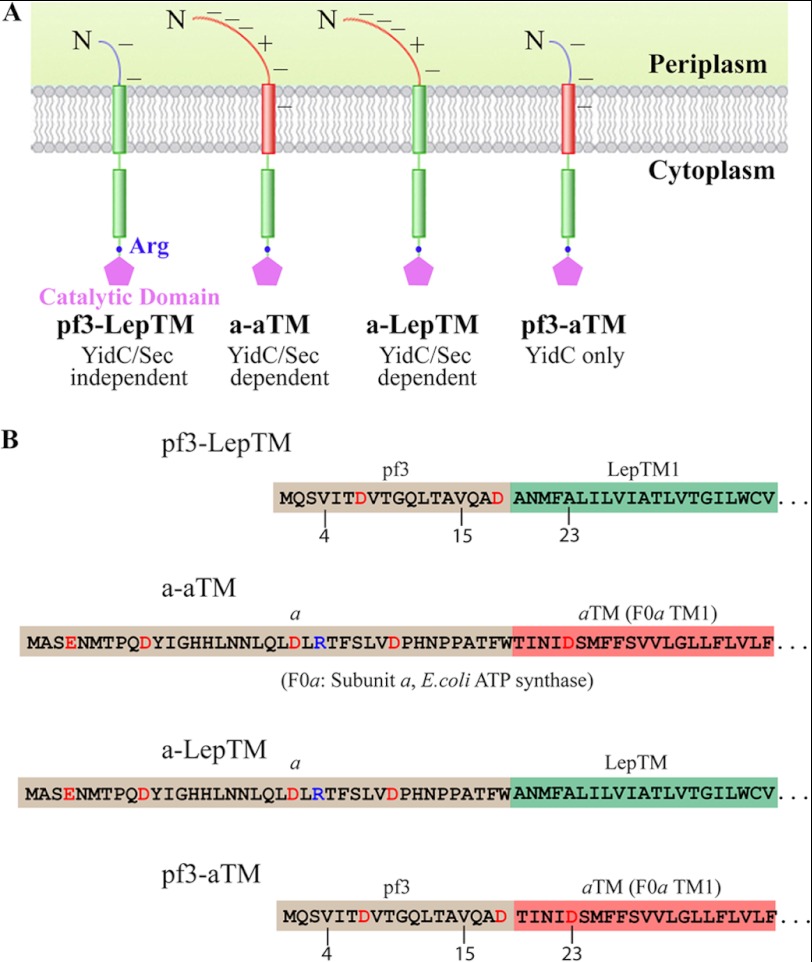 FIGURE 1.