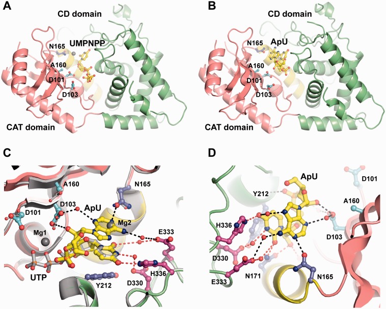 Figure 1.