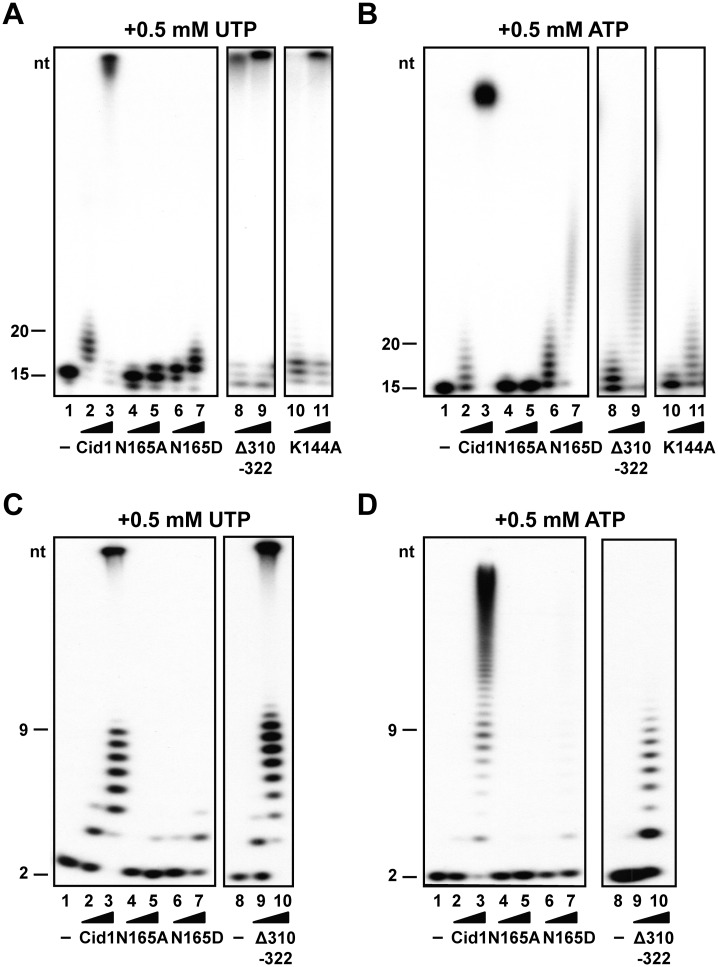 Figure 4.