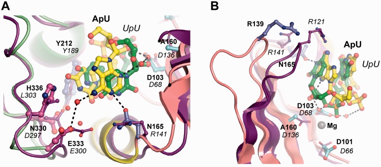 Figure 2.