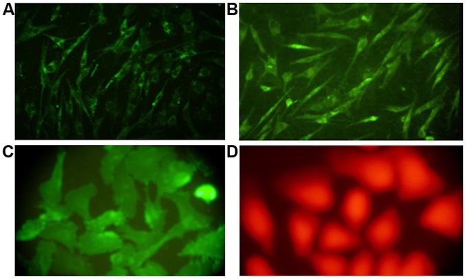 Figure 3.