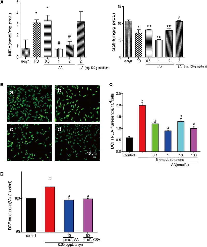 FIGURE 3