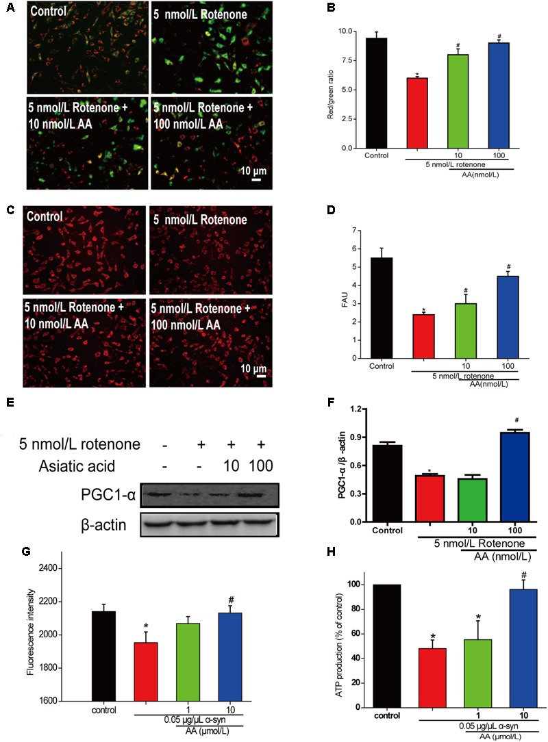 FIGURE 4