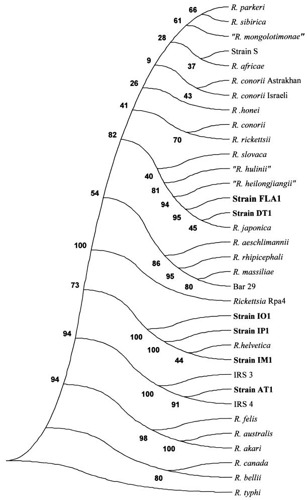 FIG. 2.