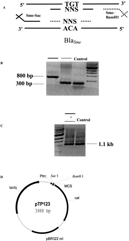 FIG. 2.