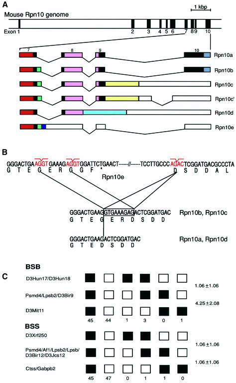 graphic file with name cdd402f2.jpg