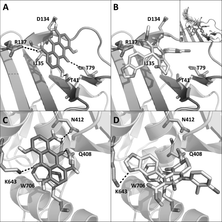 Fig 4