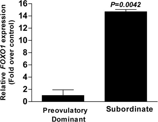 Fig 9