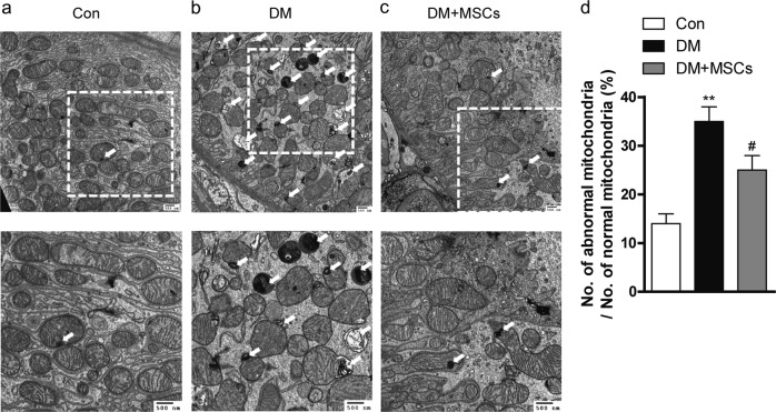 Fig. 7