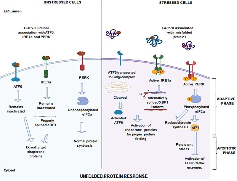 Figure1-