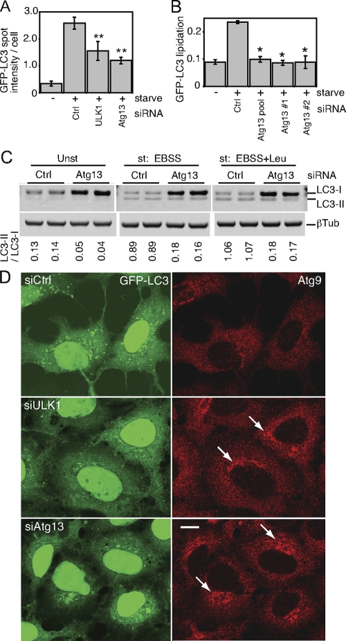 FIG. 8.