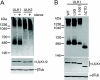 FIG. 7.