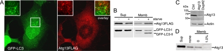 FIG. 9.