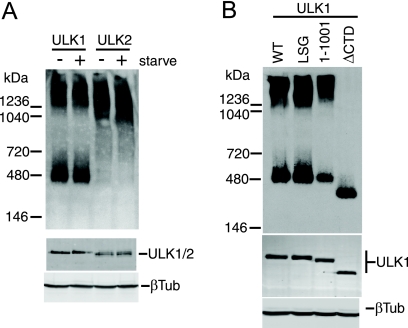 FIG. 7.