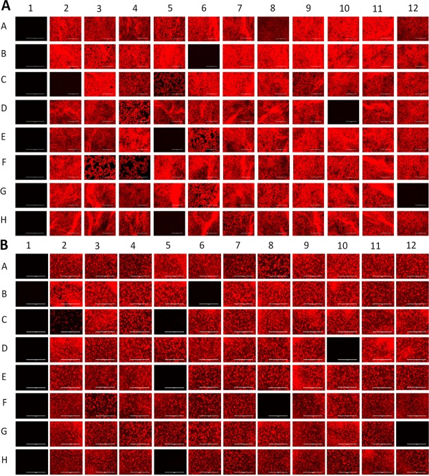 FIG 1