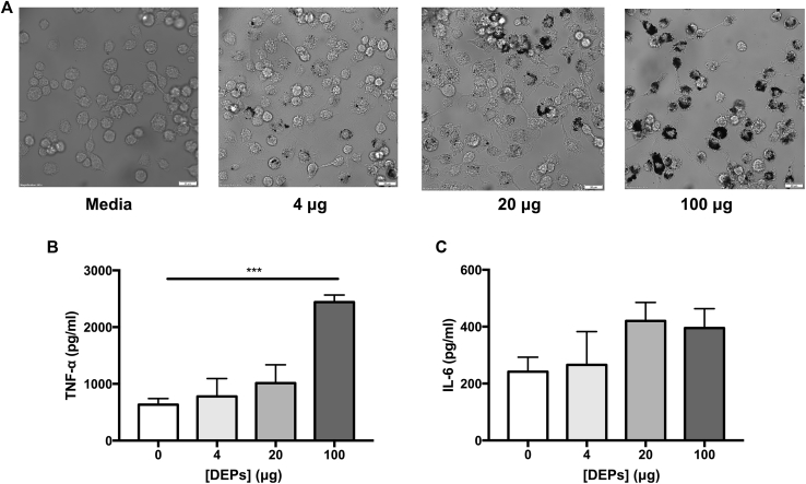 Fig 4