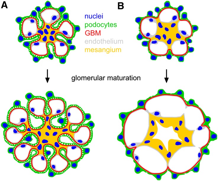 Figure 10.