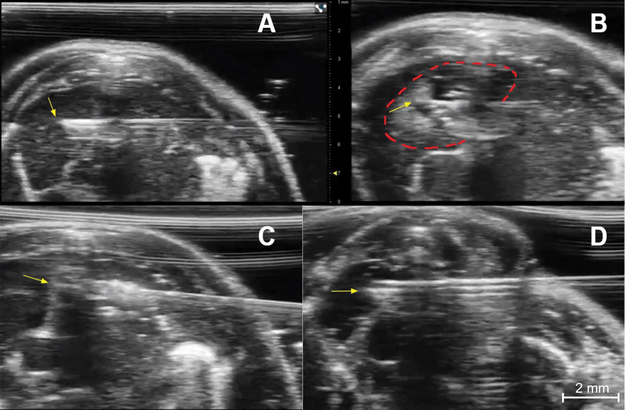 Figure 5: