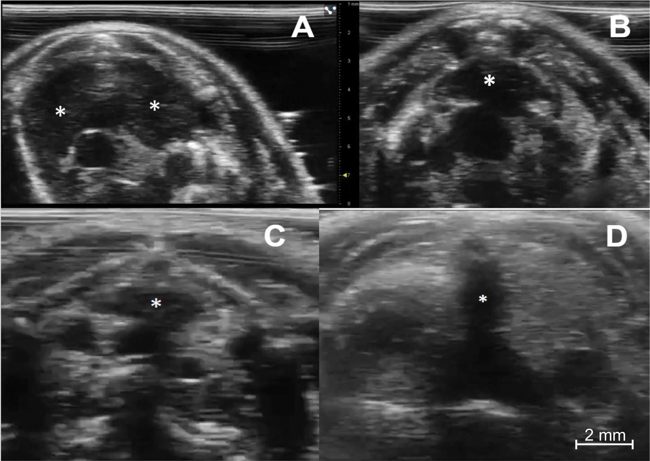 Figure 3: