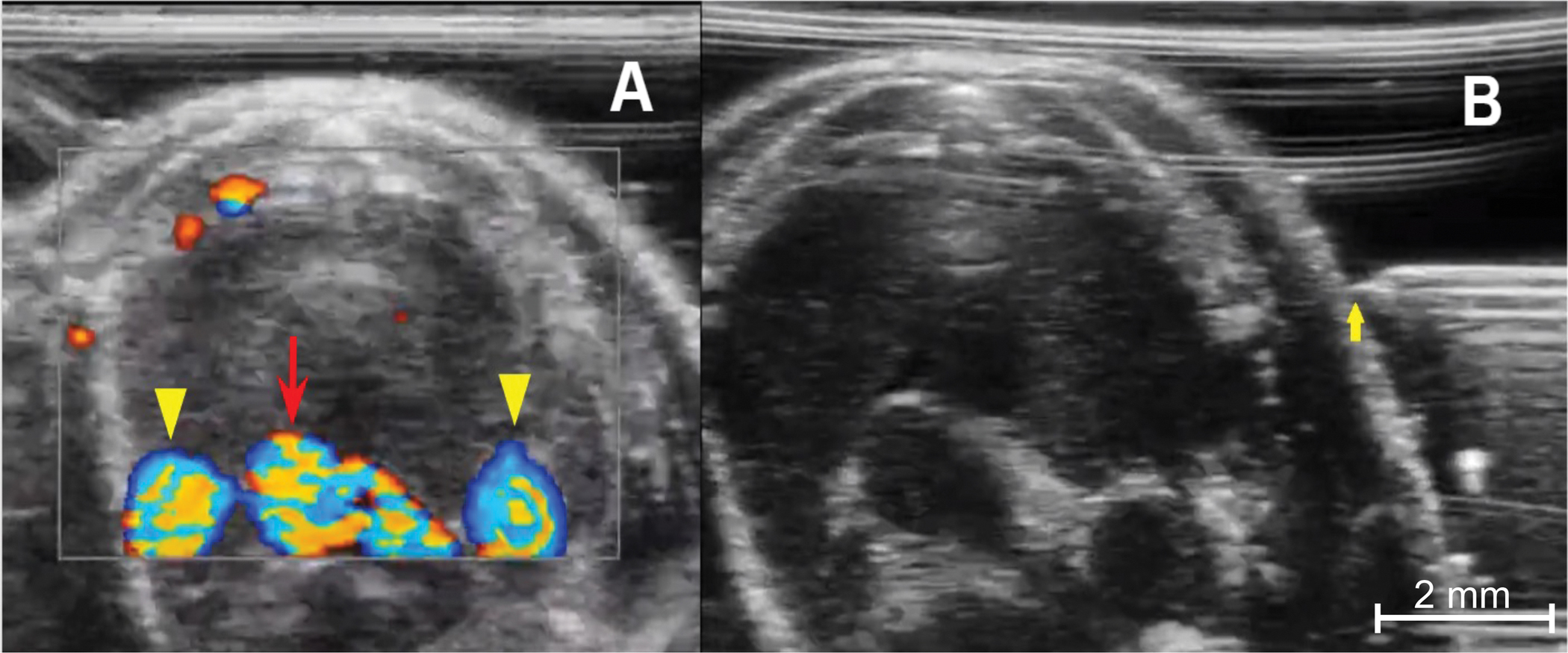 Figure 4: