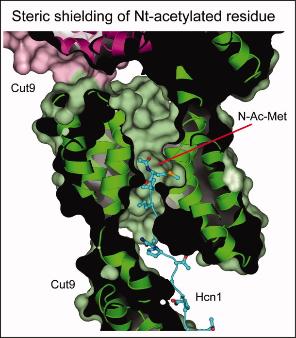 Figure 13