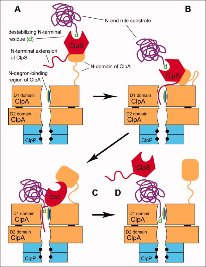 Figure 12