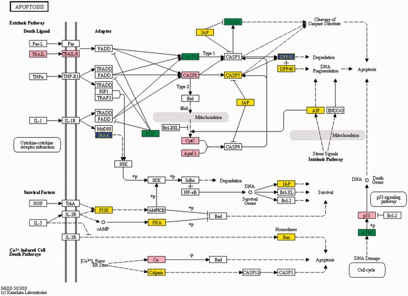 Figure 10.