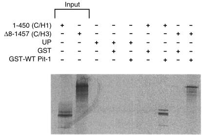 Figure 9