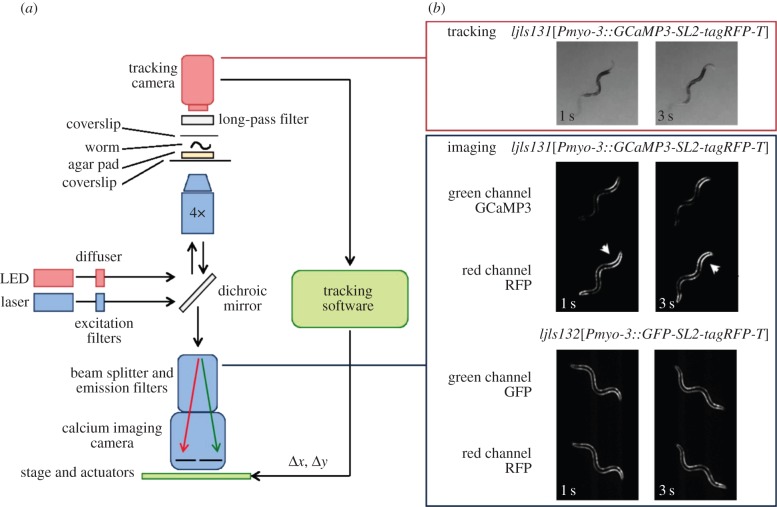 Figure 1.