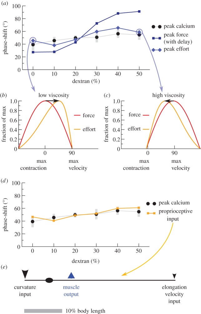 Figure 5.