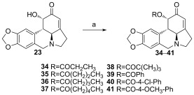 Scheme 4