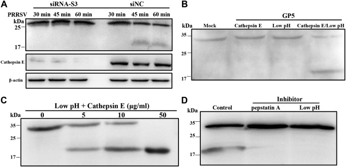 FIG 8